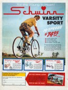 1968 Advertisment